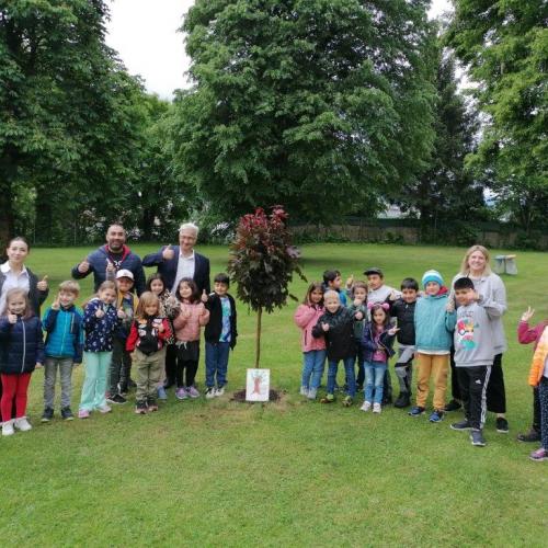 Baum_1a_2024