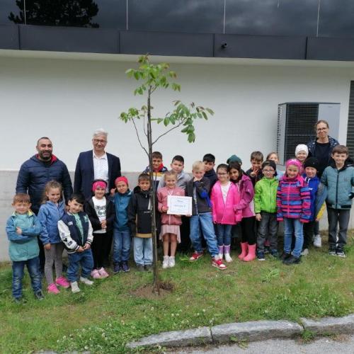 Baum_1b_2024