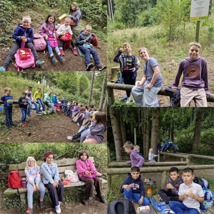 Wald_2b